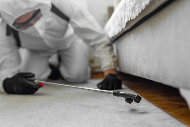 Professional Ant Control technician working in Olcott, NY